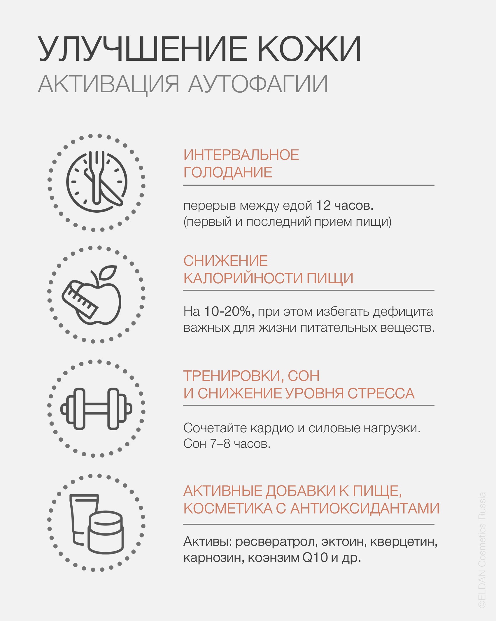 Пост аутофагия 4.jpg